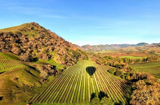 Napa Valley California - must Visit Places in October in USA